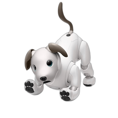 aibo