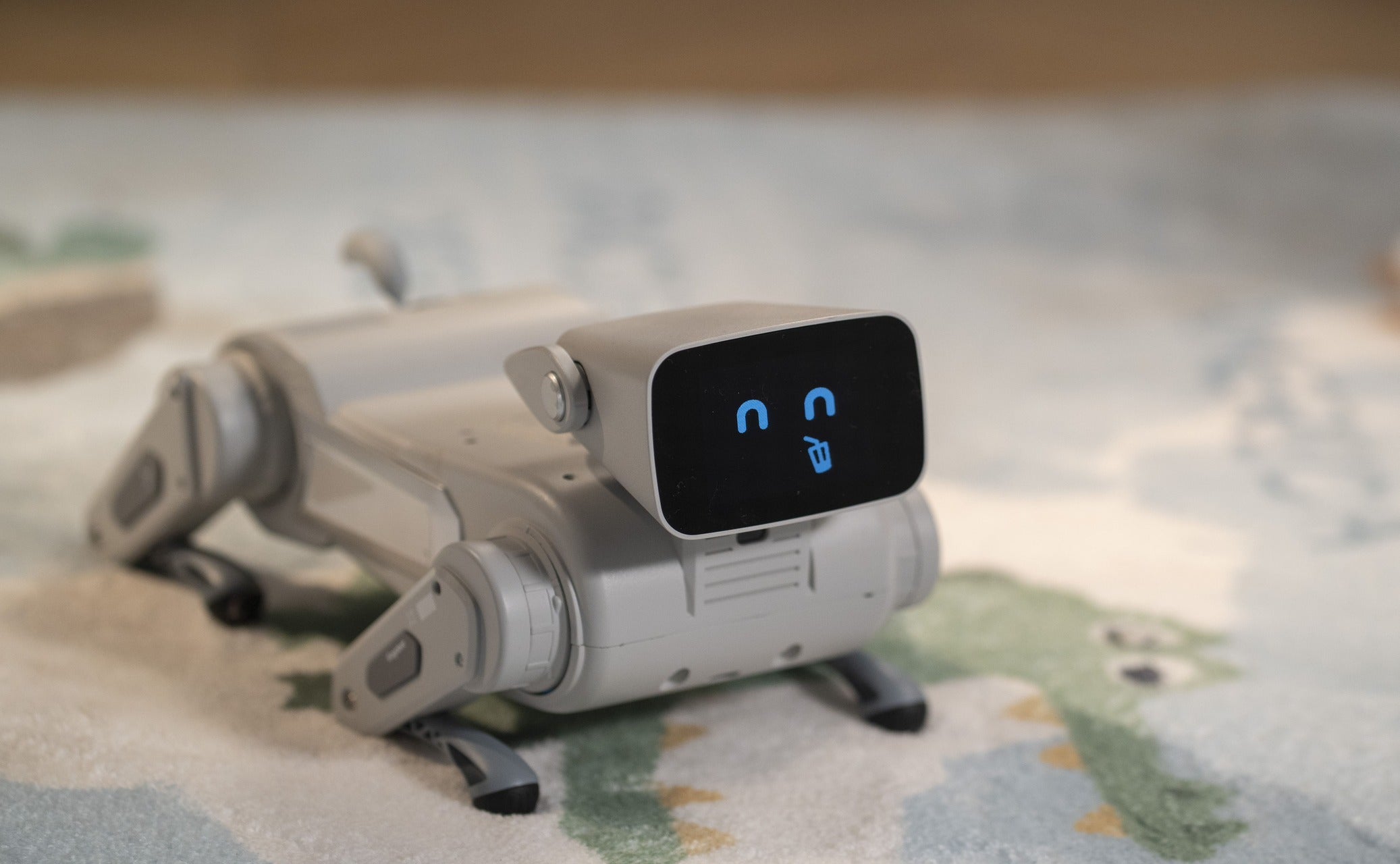 Gogobot D1 3