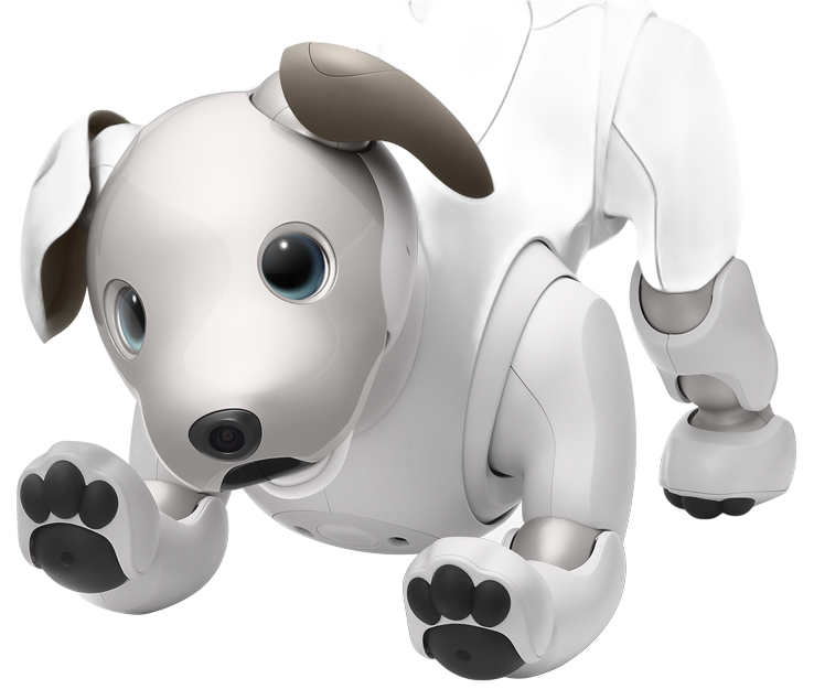aibo companion robot entering Japan