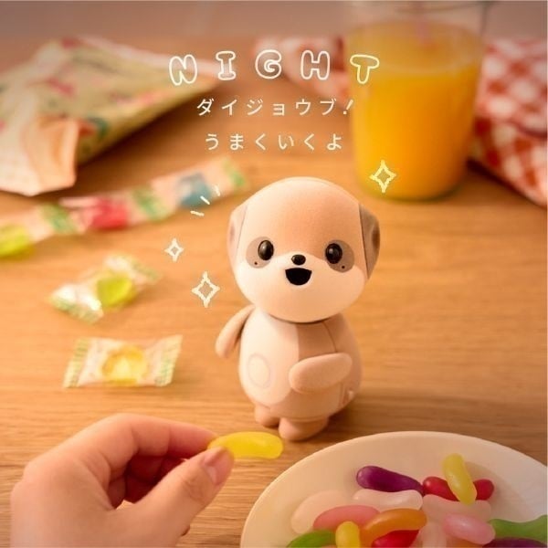 ポケとも