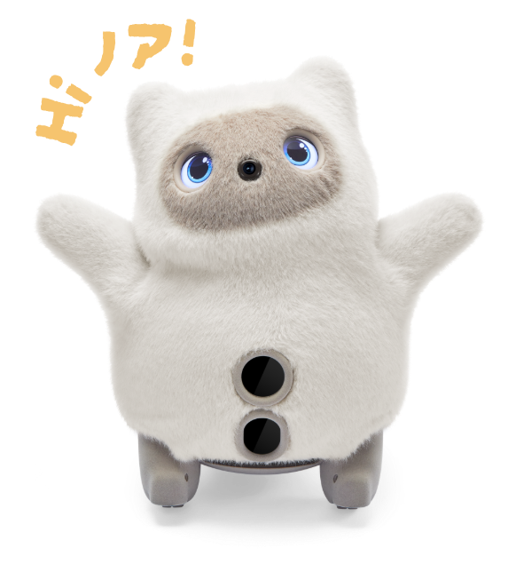 肩ふれんず